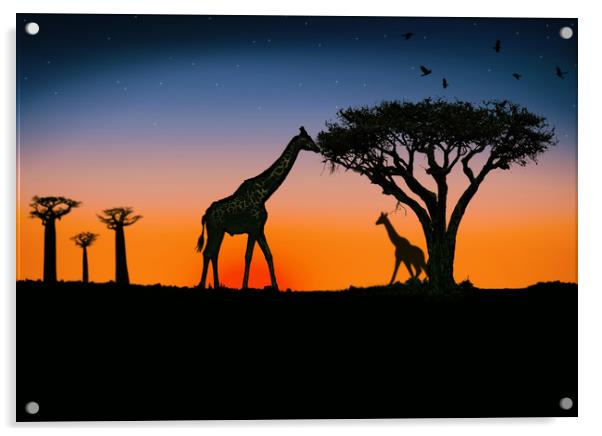 giraffes at sunset Acrylic by Guido Parmiggiani