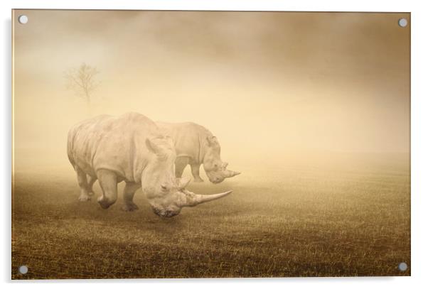 two rhinos grazing on a foggy morning Acrylic by Guido Parmiggiani