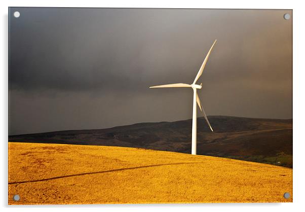  Wind Turbine standing tall in the evening sunligh Acrylic by Spenser Davies