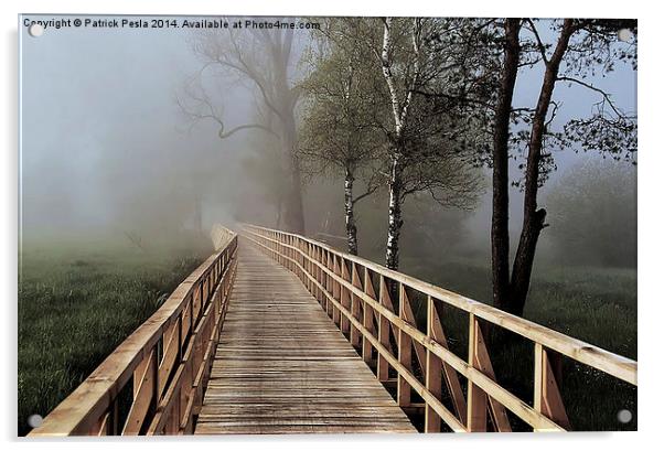 Into the Mist Acrylic by Patrick Pesla