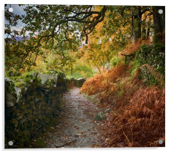 Autumn Lake District path Acrylic by Ceri Jones