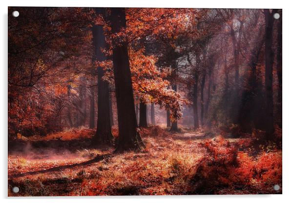 Fresh Autumn Woodlands Acrylic by Ceri Jones