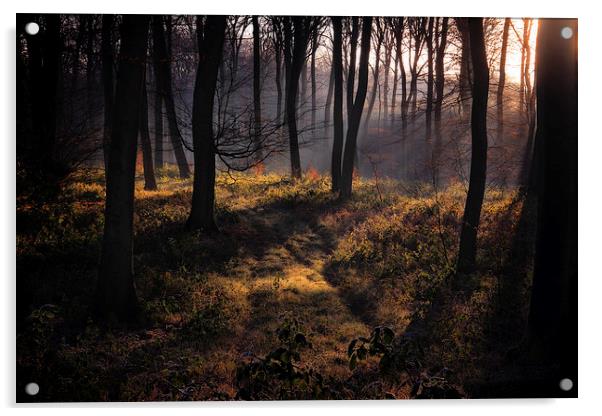 Winter Woodland Mist Acrylic by Ceri Jones
