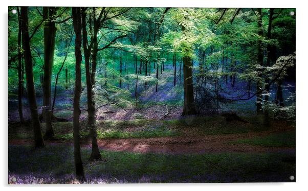 Spring Woodland Light Acrylic by Ceri Jones