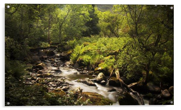 The Little Stream Acrylic by Ceri Jones