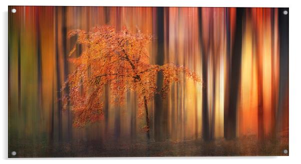 Autumn Woodland Abstract Acrylic by Ceri Jones