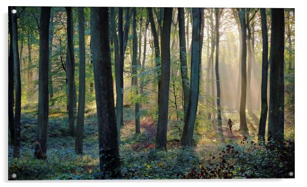  Woodland Jogger Acrylic by Ceri Jones