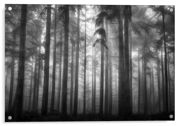 Pine Woodlands Acrylic by Ceri Jones