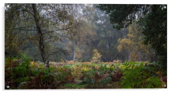 Autumn Hues Acrylic by Ceri Jones