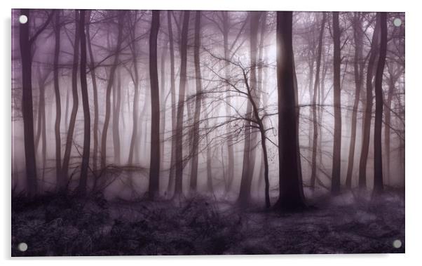 Winter Woodland Dawn Acrylic by Ceri Jones