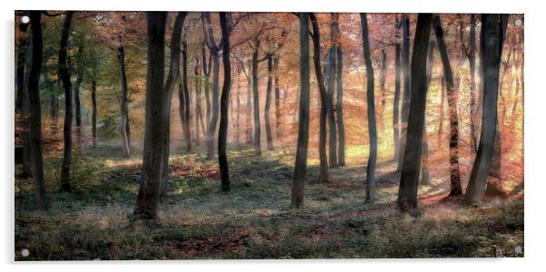 Golden Autumn Dawn Acrylic by Ceri Jones