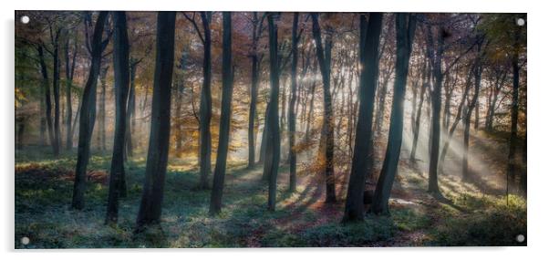 Autumn Morning Dawn Acrylic by Ceri Jones