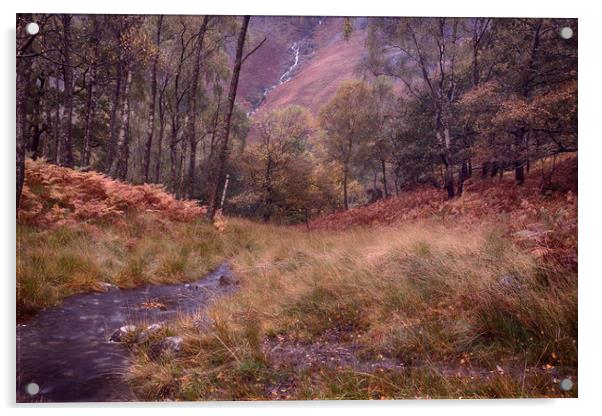 Cumbrian Autumn Scene Acrylic by Ceri Jones