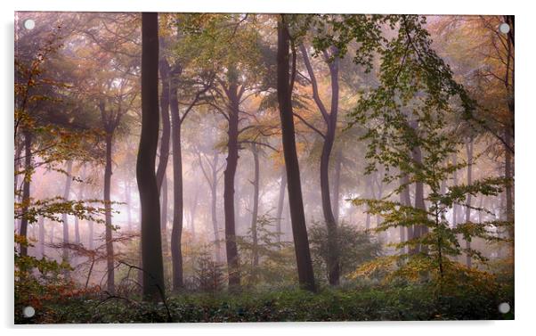 Misty Autumn Woodlands Acrylic by Ceri Jones