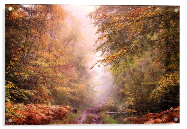 Autumn Path Acrylic by Ceri Jones