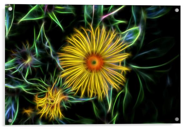 Electric Bloom Acrylic by Ceri Jones