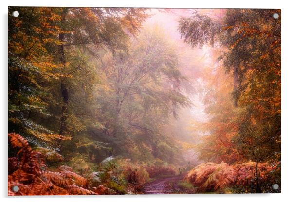 Autumn Foggy Woods Acrylic by Ceri Jones