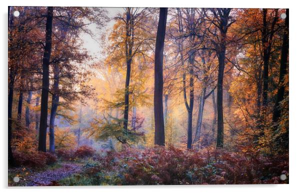 Autumn Morning Light Acrylic by Ceri Jones