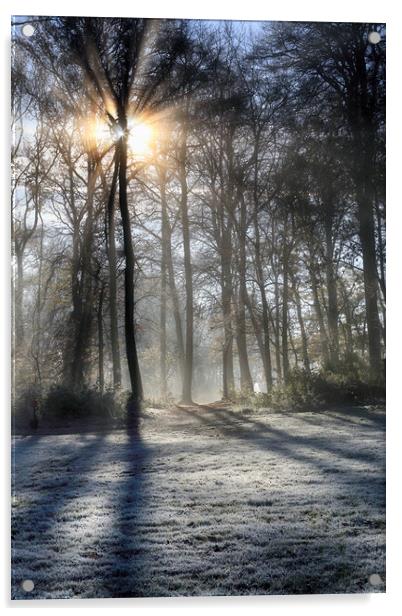 Frosty Morning Woodlands  Acrylic by Ceri Jones