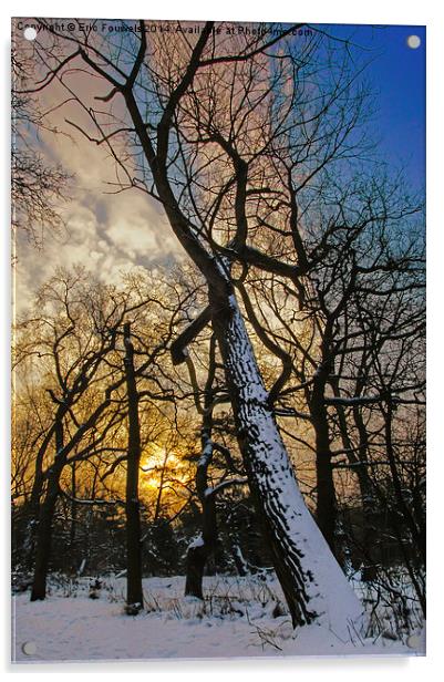 snow tree at sunrise Acrylic by Eric Fouwels