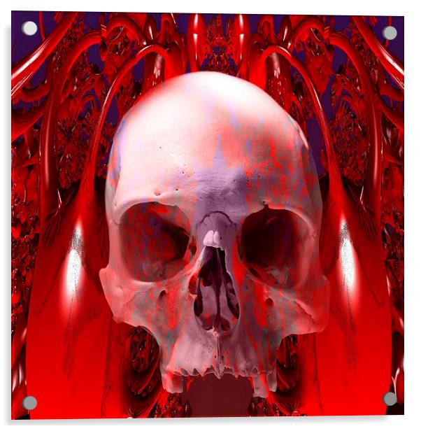   Skull Transfusion Acrylic by Matthew Lacey