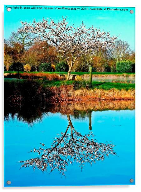 Springtime reflection Acrylic by Jason Williams