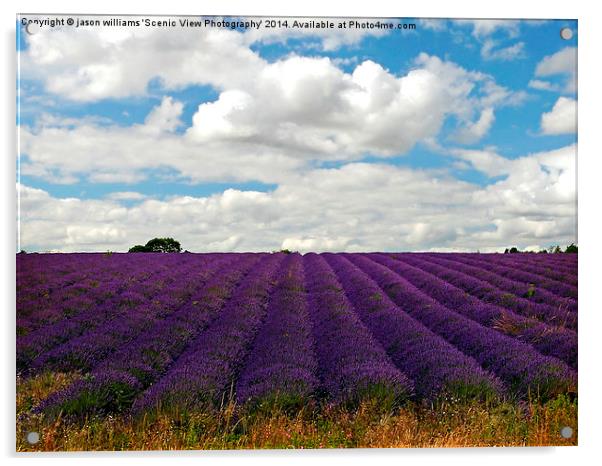  Lavender Landscape (Version 2) Acrylic by Jason Williams