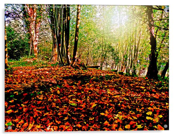  Autumn carpet. Acrylic by Jason Williams