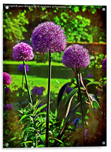  Purple Allium Spheres  Acrylic by Jason Williams