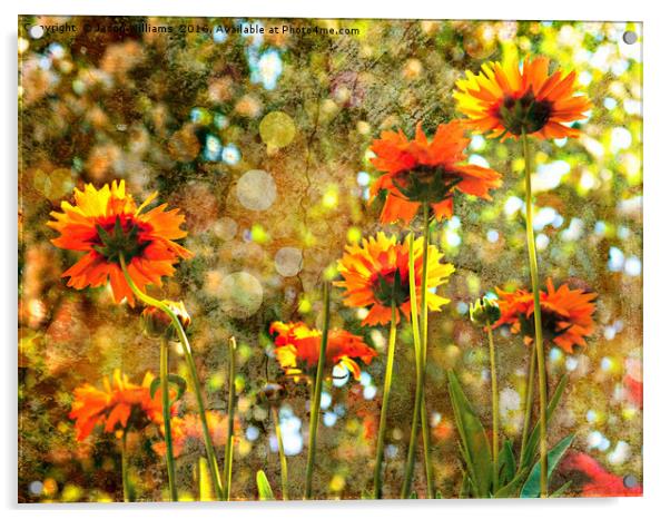 Coreopsis Sunburst Acrylic by Jason Williams