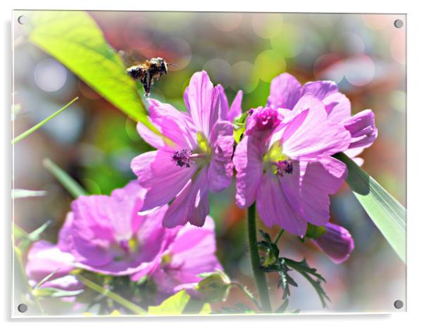 Summer Flowers Acrylic by Jason Williams