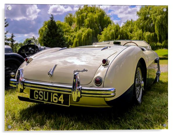 1955 Austin Healey Acrylic by Jason Williams