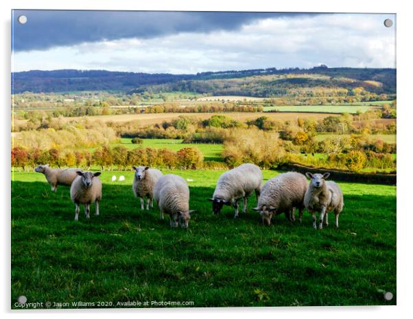 Sheep in the Cotswolds Acrylic by Jason Williams
