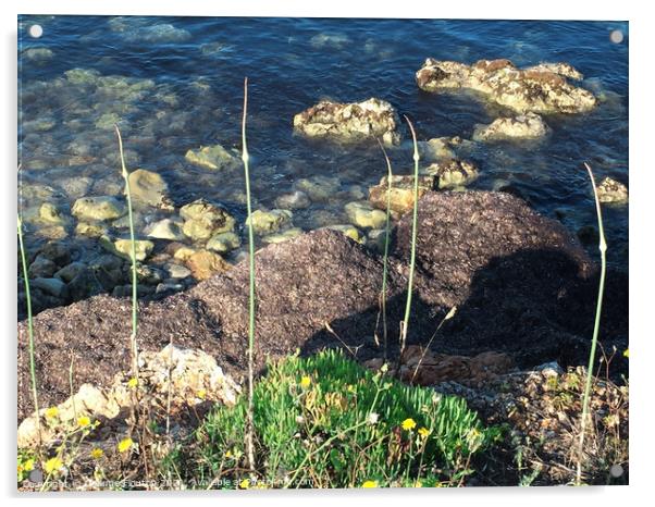 Wild Garlic on Beach Menorca Acrylic by Deanne Flouton