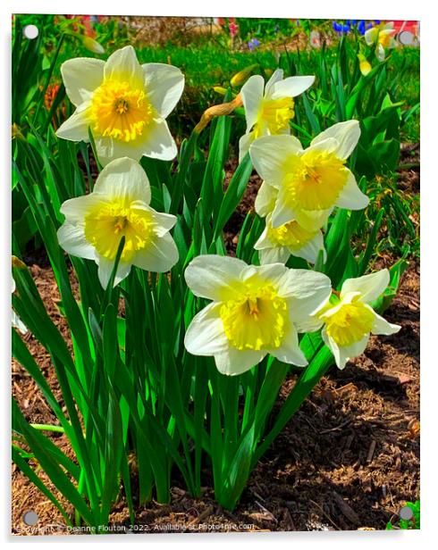 Stunning Daffodil Symphony Acrylic by Deanne Flouton