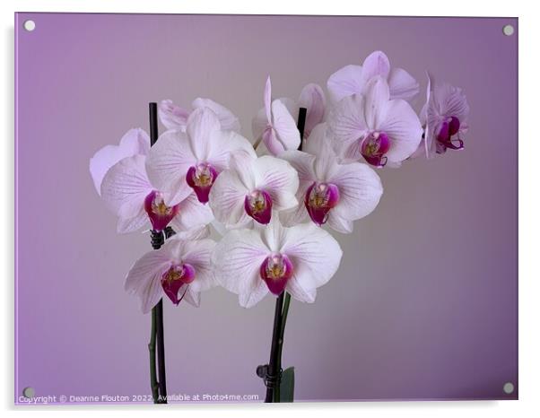 Lavender Dreams Acrylic by Deanne Flouton