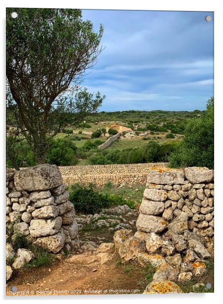 Countryside View Menorca Spain Acrylic by Deanne Flouton