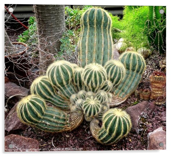 Rugged Beauty in a Cactus Clan Acrylic by Deanne Flouton