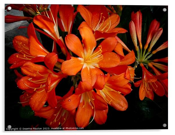 Vivid Orange Beauty Acrylic by Deanne Flouton