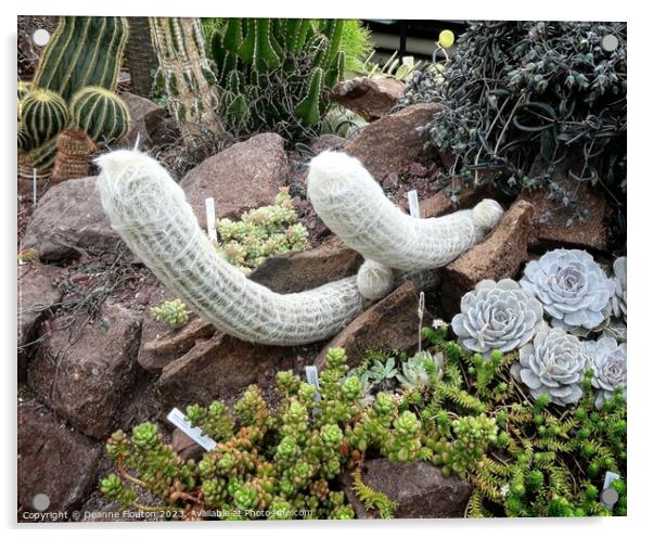 Fluffy Cactus Oasis Acrylic by Deanne Flouton