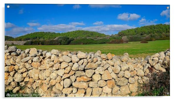 San Adeodato Field Panorama Menorca Acrylic by Deanne Flouton