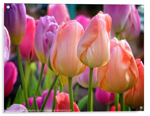 Pastel Tulip Bouquet Acrylic by Deanne Flouton