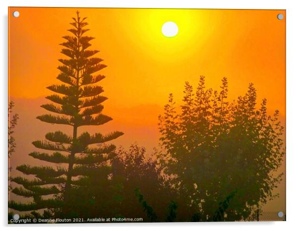 Mystic Sunrise Norfolk Pines Chromatic Hues Acrylic by Deanne Flouton