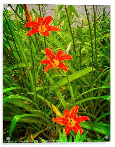 Fiery River Lilies Acrylic by Deanne Flouton