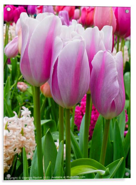 Heavenly Pink Tulip Garden Acrylic by Deanne Flouton