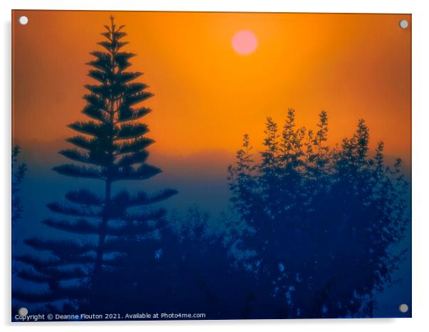 Norfolk Island Pine Tree Menorca Acrylic by Deanne Flouton