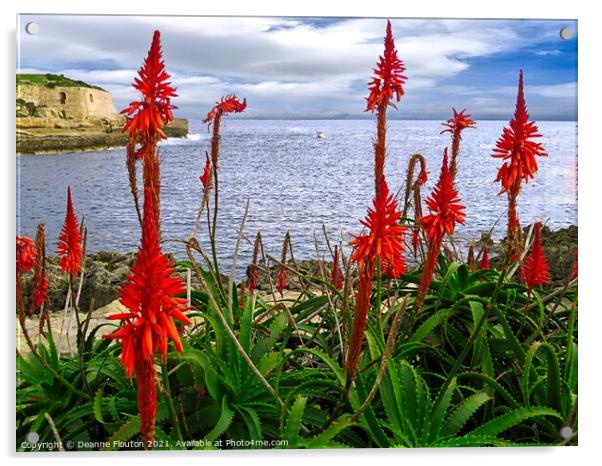 Red Aloes Menorca Acrylic by Deanne Flouton