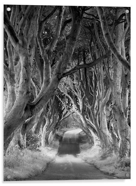 The Dark Hedges, Northern Ireland Acrylic by Rachel Mower