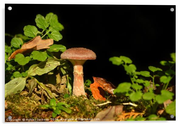 Lonesome Mushroom Acrylic by Ashley Jackson