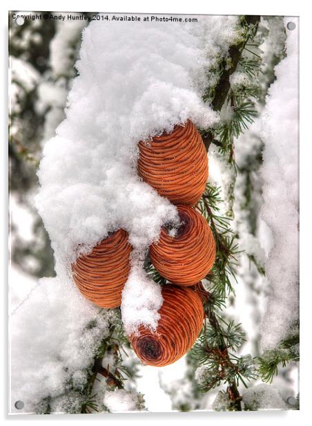 Snow Cones Acrylic by Andy Huntley